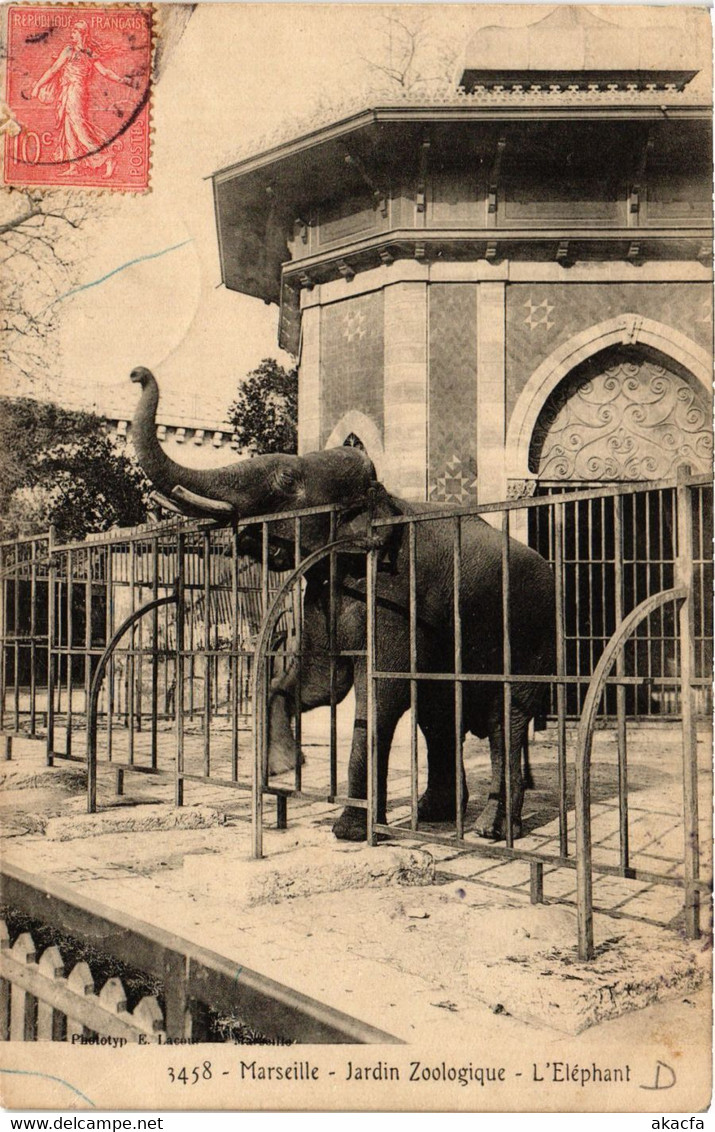 CPA MARSEILLE Jardin Zoologique L'Elephant (403520) - Parks
