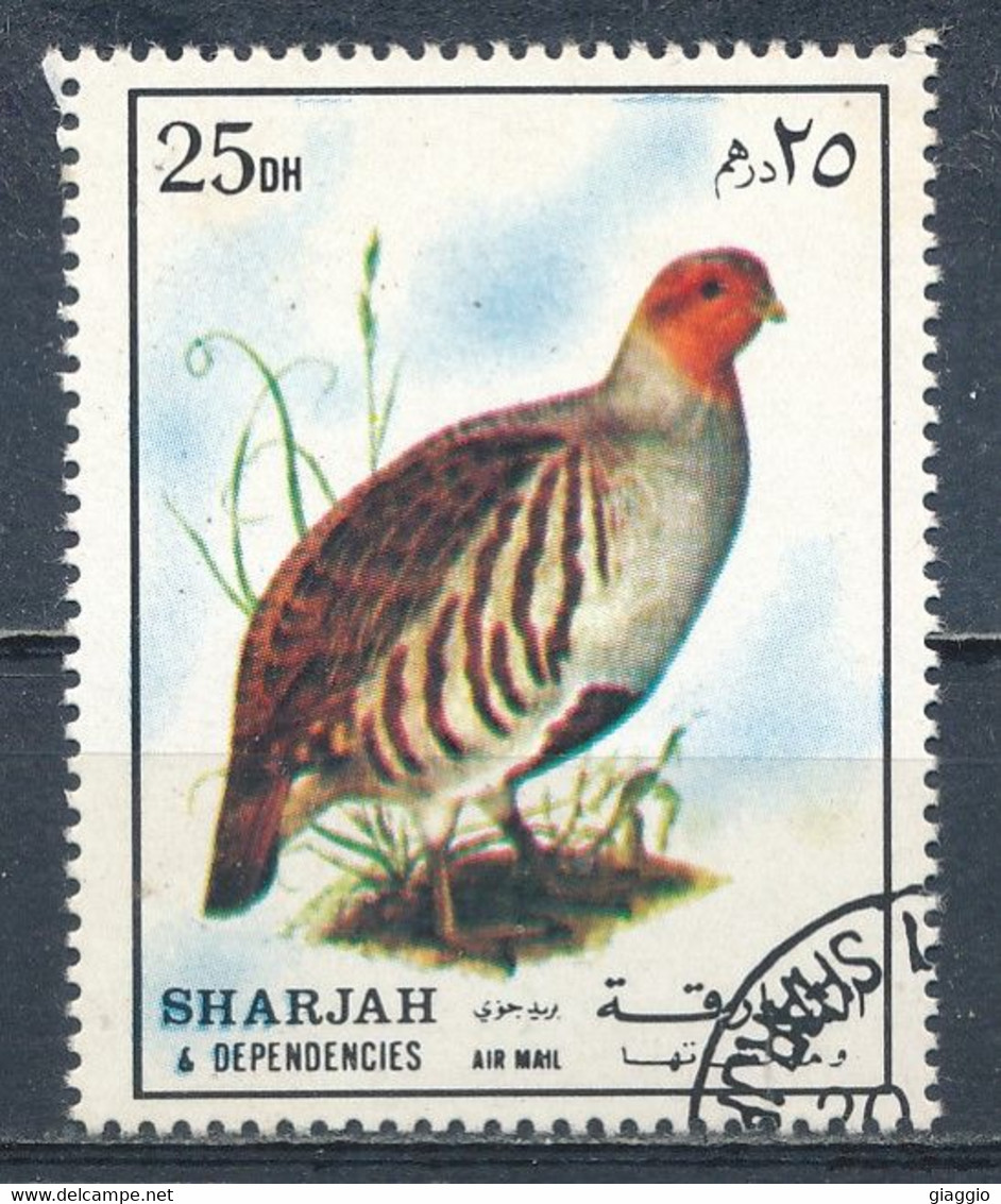 °°° SHARJAH - MI N°1184 - 1972 °°° - Grey Partridge