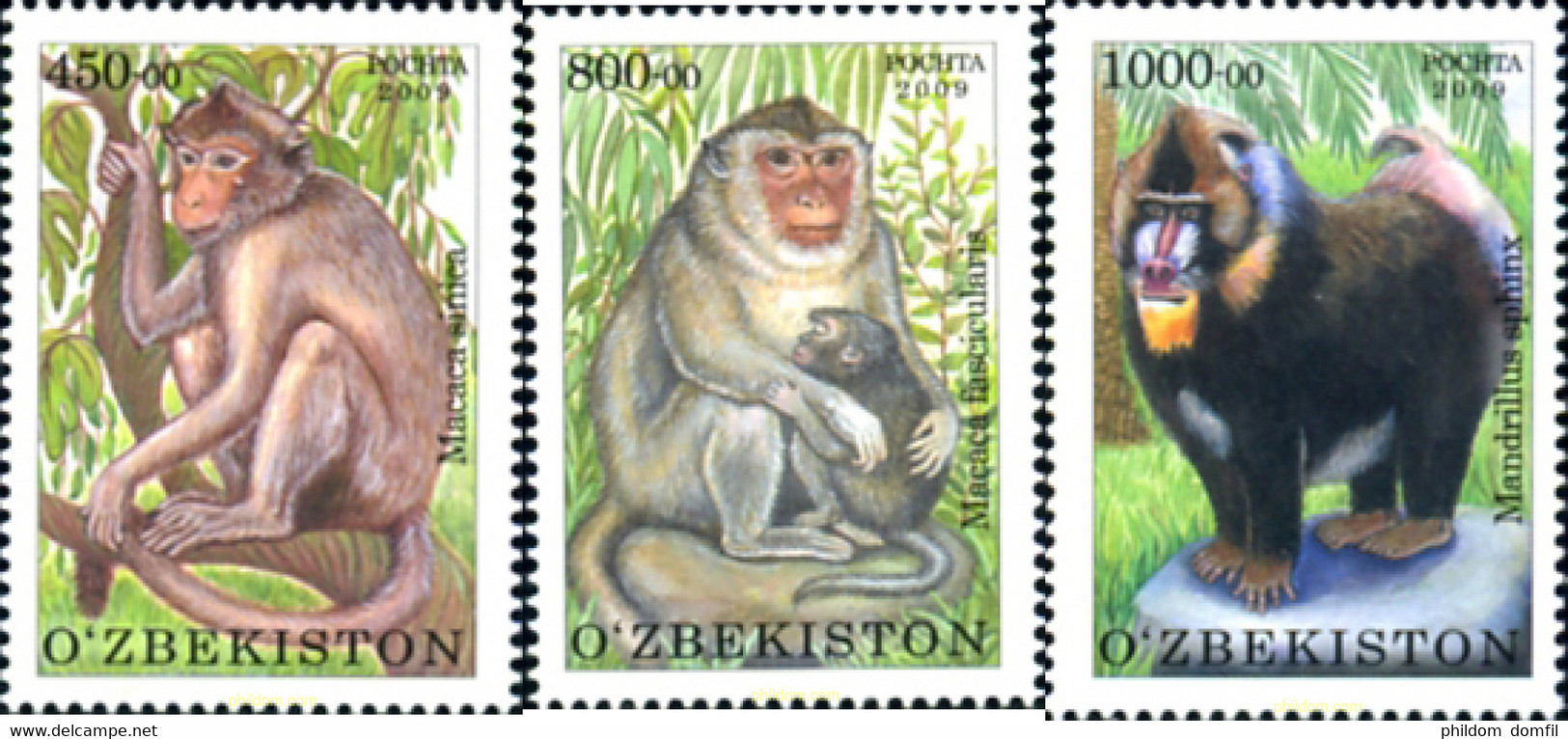 254215 MNH UZBEKISTAN 2010 FAUNA DEL ZOO DE TASCHKENT - Chimpanzés