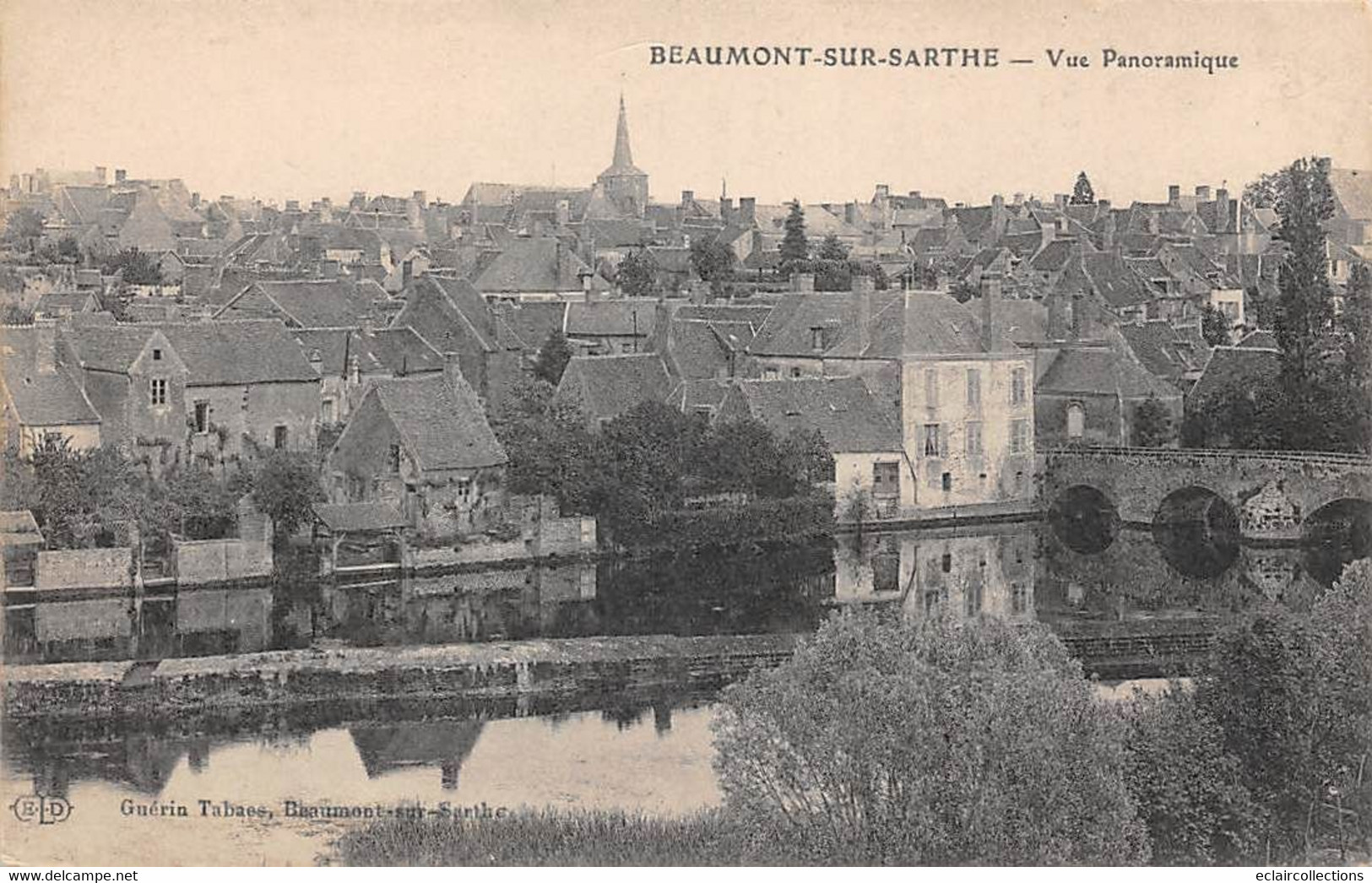 Beaumont Sur Sarthe           72         Vue Panoramique        (voir Scan) - Beaumont Sur Sarthe