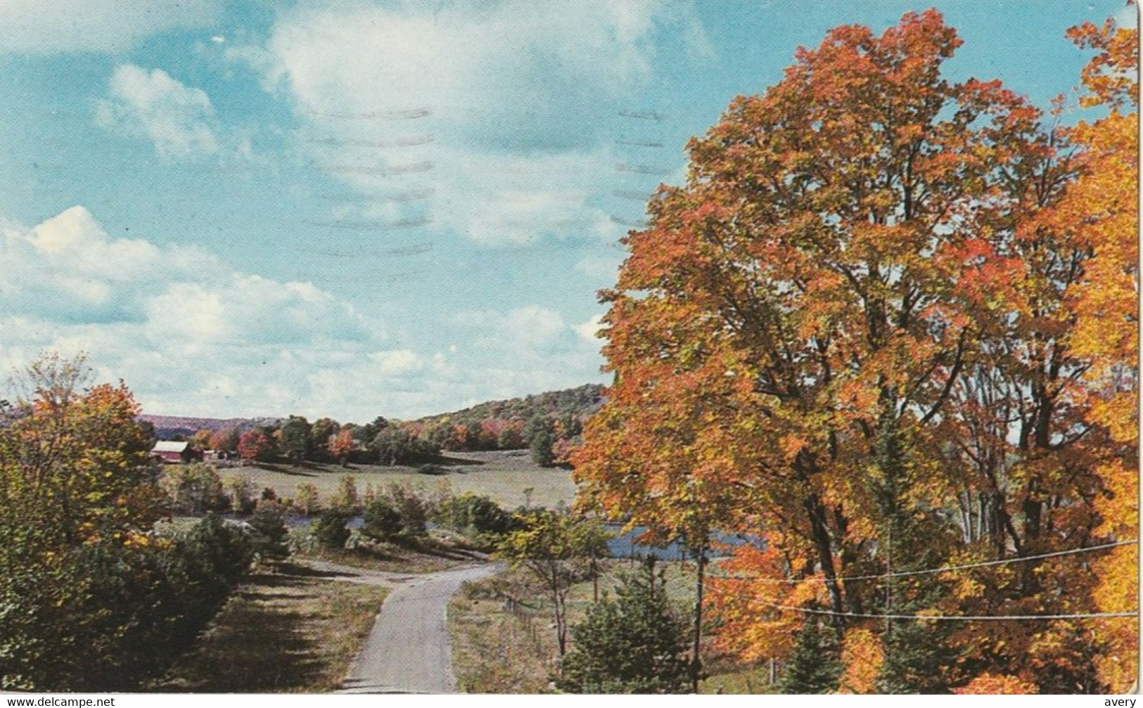 A Typical Winding Road In Muskoka, Ontario - Muskoka