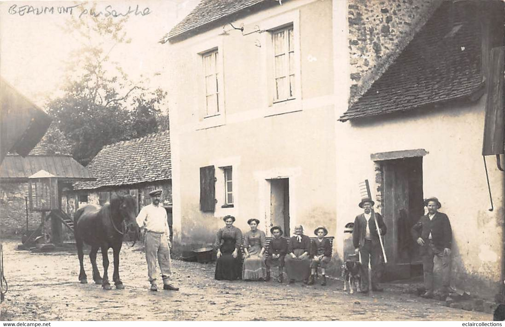 Beaumont Sur Sarthe           72        Ferme 'Le Moulin'  Famille .  Carte Photo     (voir Scan) - Beaumont Sur Sarthe