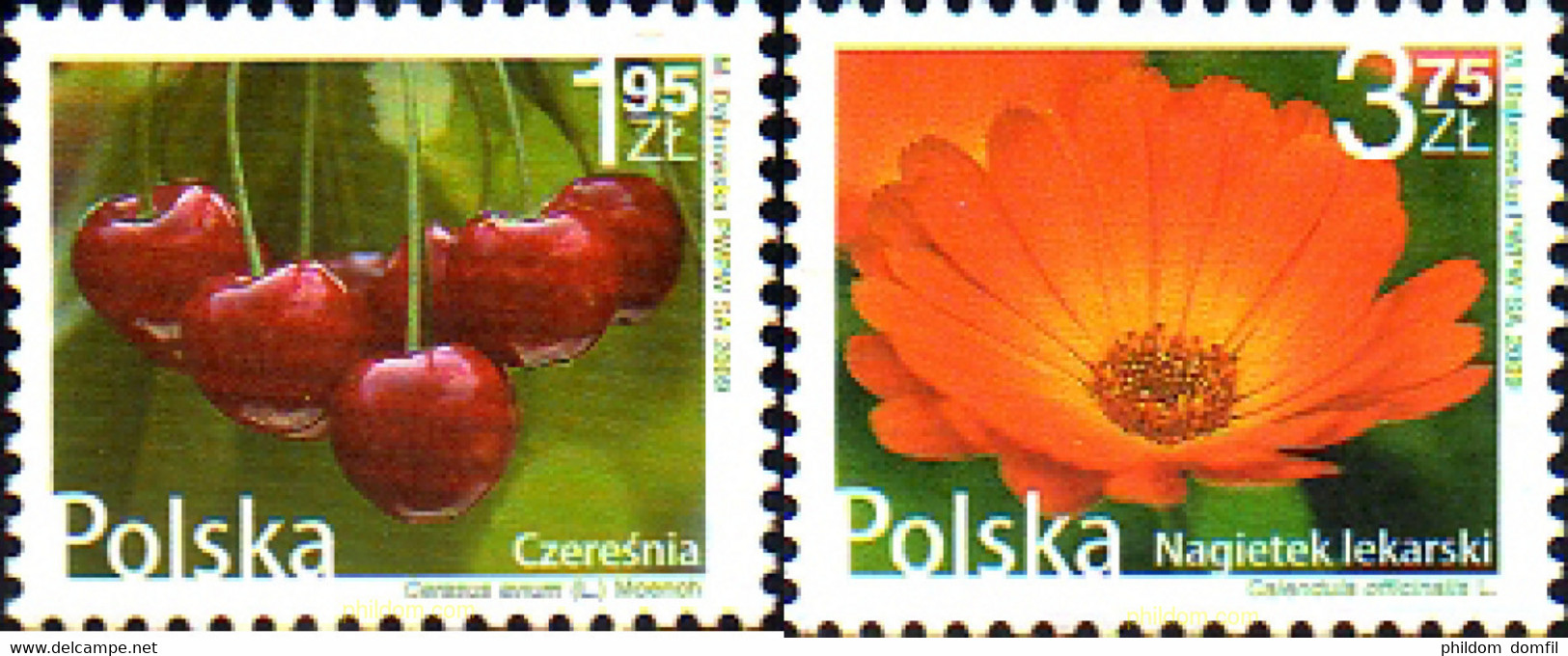 240422 MNH POLONIA 2009 FLORES Y FRUTOS - Ohne Zuordnung