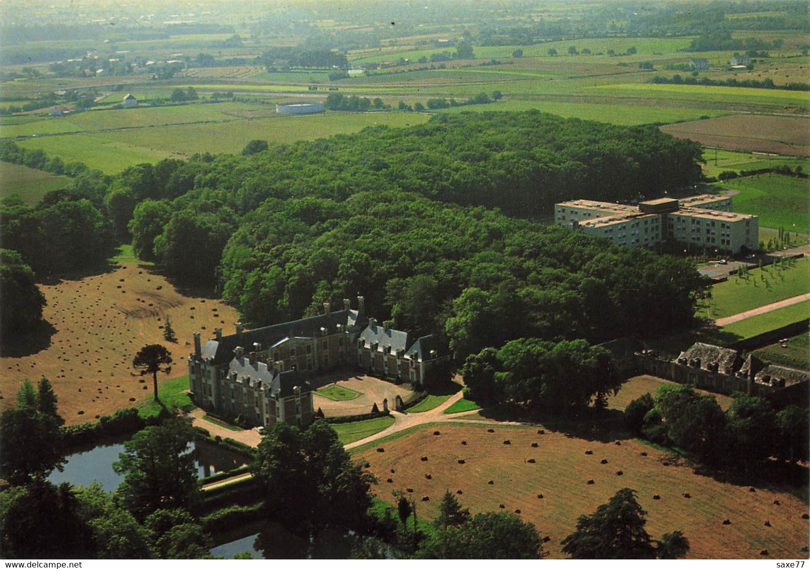 CARQUEFOU - La Seilleraie - Le Château Et L'Hopital - Carquefou