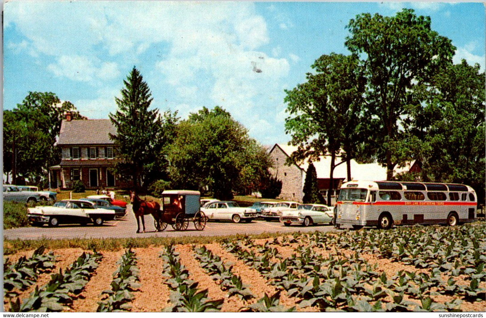 Pennsylvania Lancaster The Amish Farm And House 1962 - Lancaster