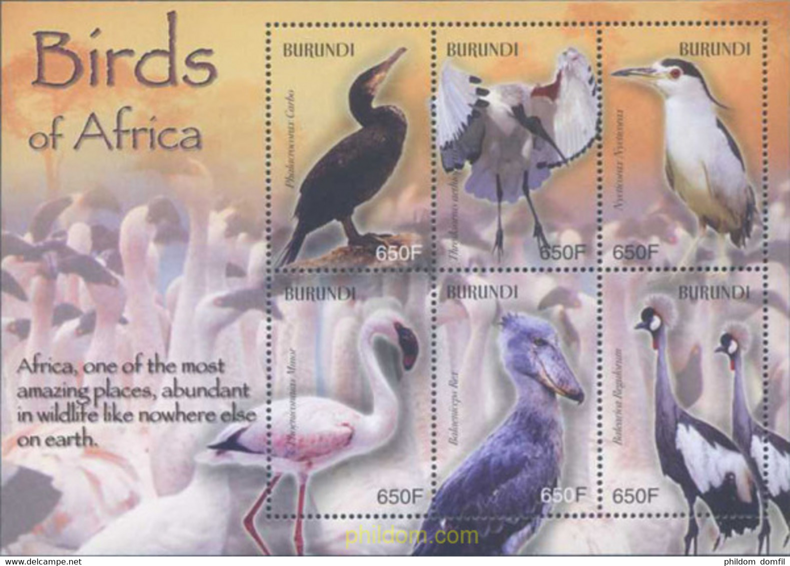 639072 MNH BURUNDI 2004 FAUNA - AVES - Ungebraucht