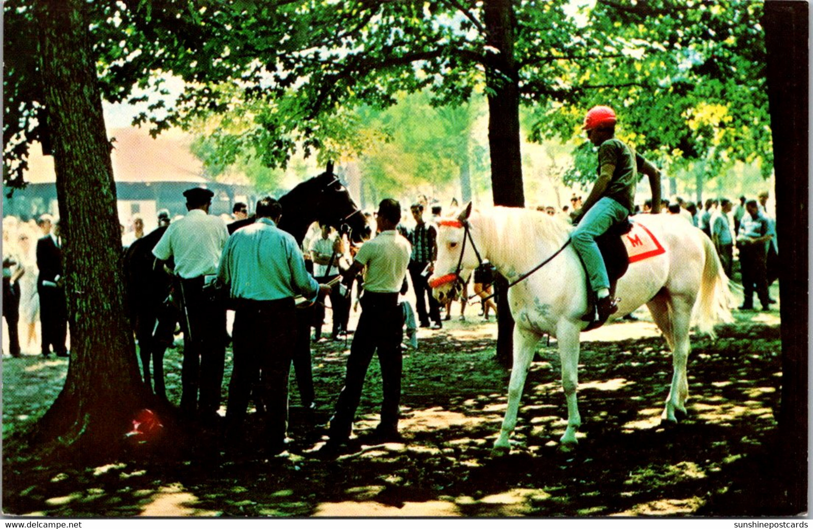 New York Saratoga Race Track  Paddock Area - Saratoga Springs