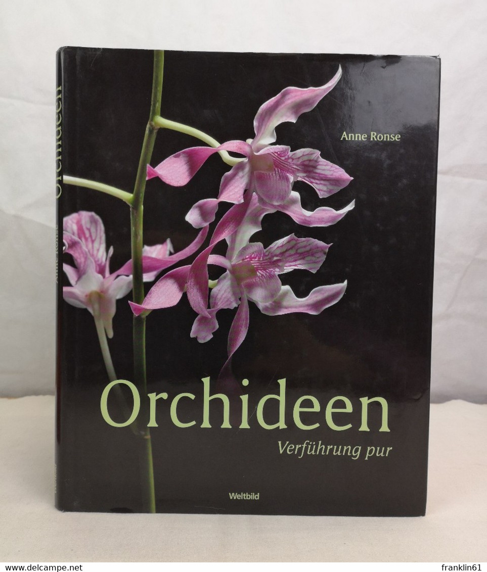 Orchideen. Verführung Pur. - Lessico