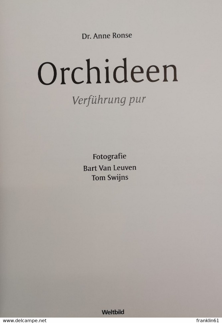 Orchideen. Verführung Pur. - Lexicons