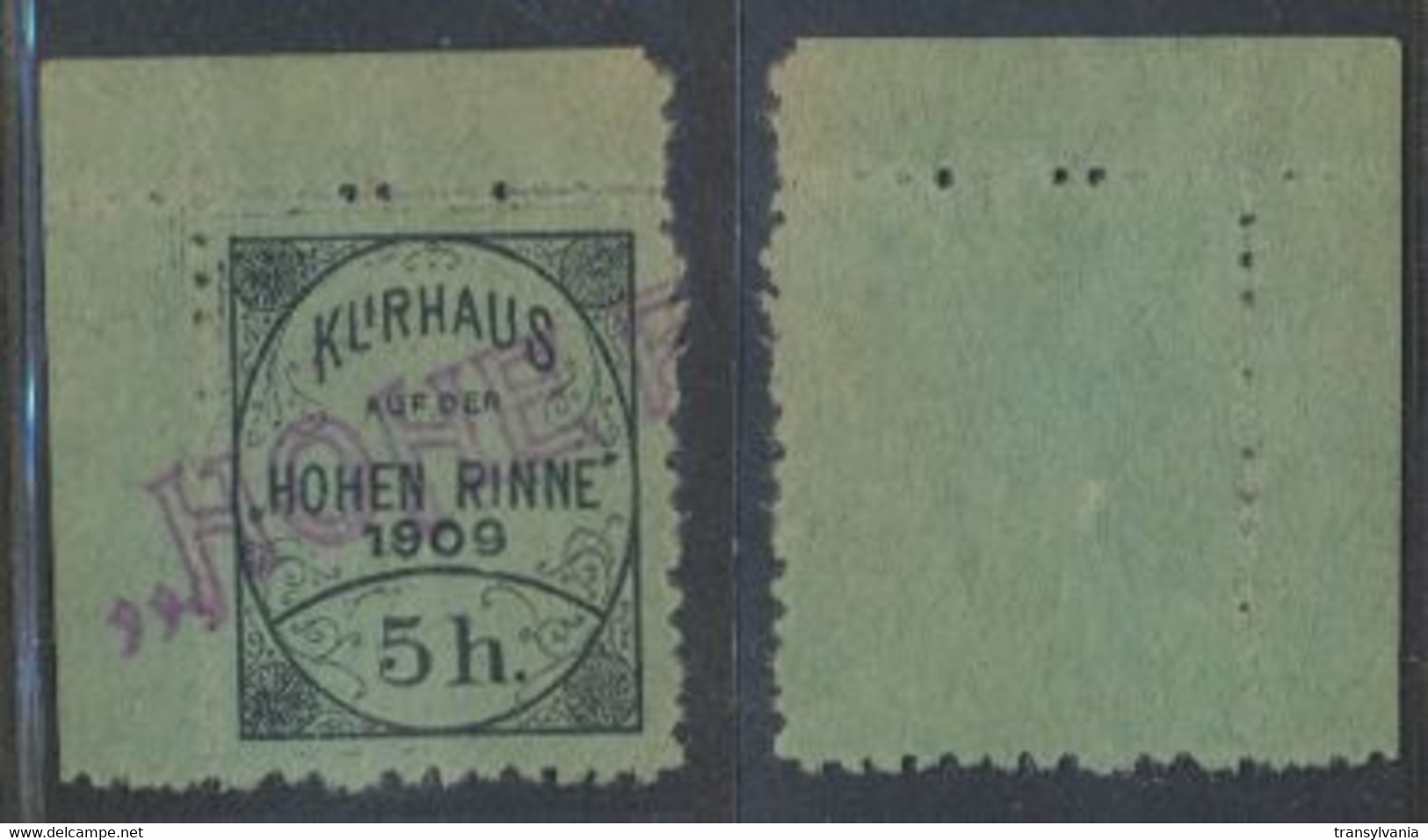 Hungary Romania 1909 Probably Unique Hohe Rinne 5h Hotel Post Stamp Error Cancelled With Resort Postmark - Emissions Locales