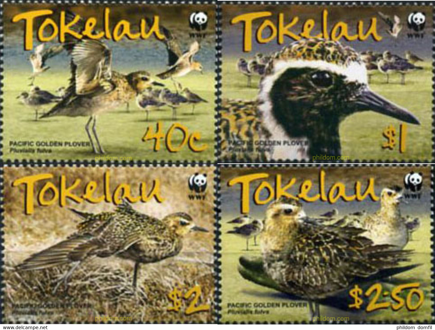 207321 MNH TOKELAU 2007 AVES DEL PACIFICO - Tokelau