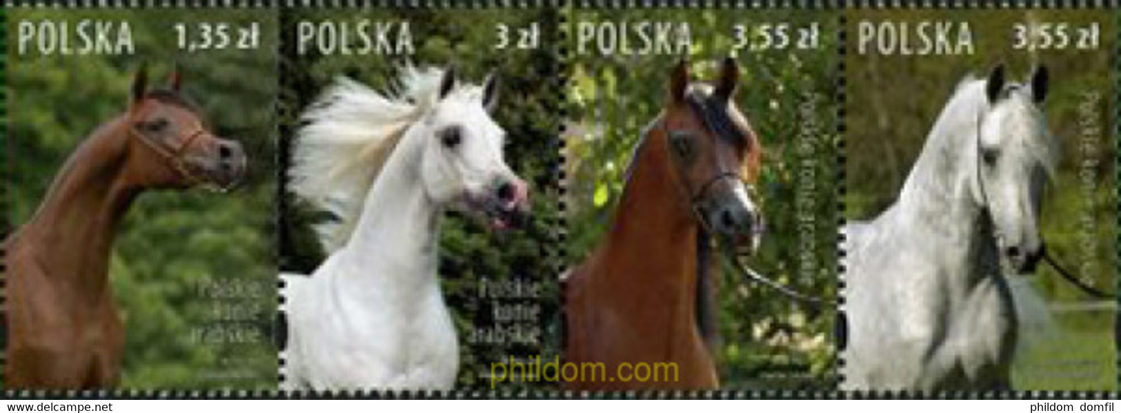 206639 MNH POLONIA 2007 CABALLOS - Unclassified