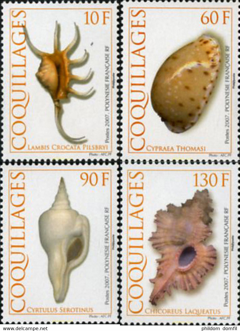 206645 MNH POLINESIA FRANCESA 2007 CONCHAS - Gebraucht