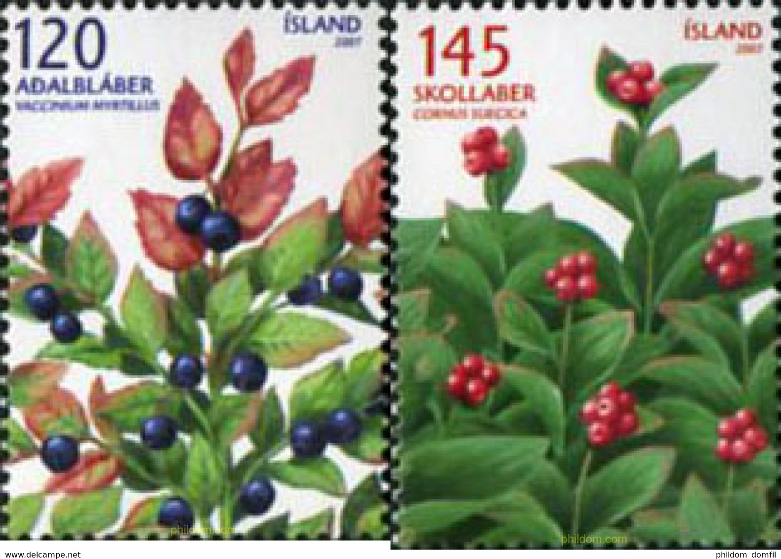 206315 MNH ISLANDIA 2007 ARANDANOS SILVESTRES - Lots & Serien