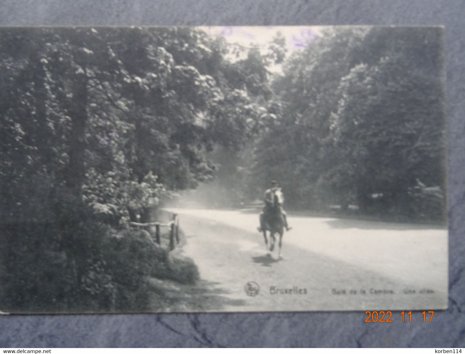 BOIS DE LA CAMRE  UNE ALLEE - Bossen, Parken, Tuinen