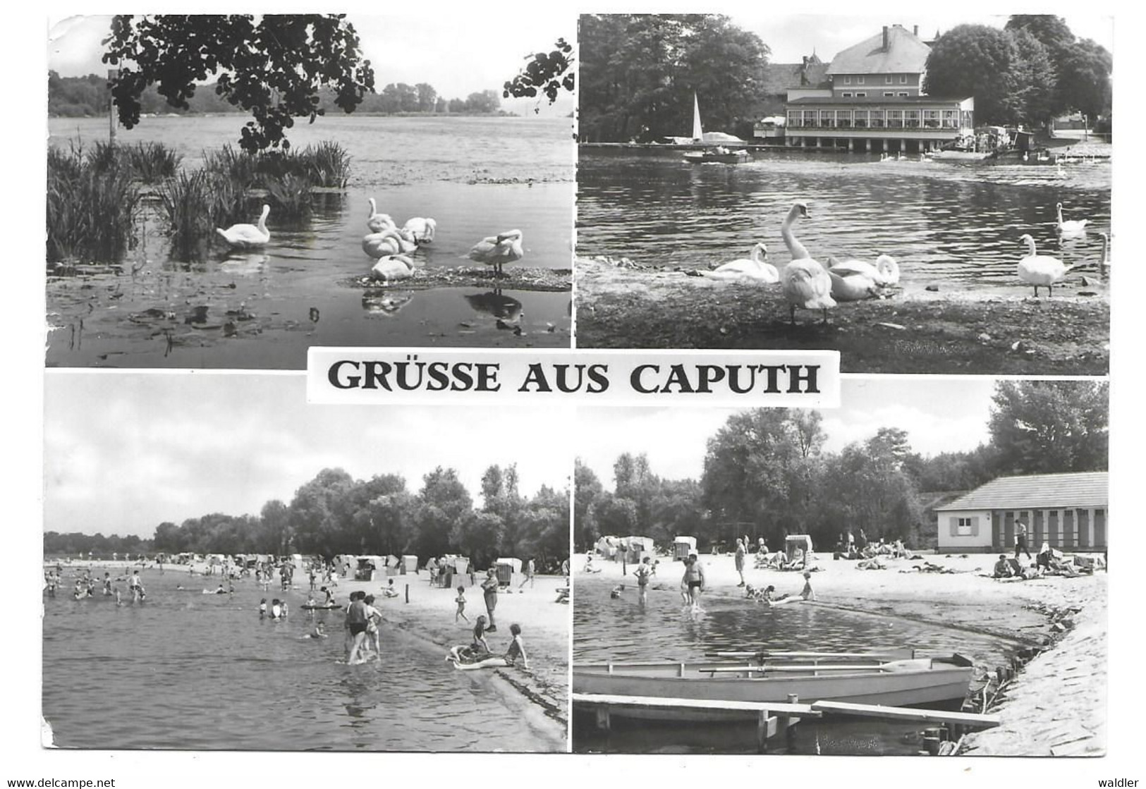 1506  CAPUTH  (Kr. POTSDAM) 1982 - Caputh