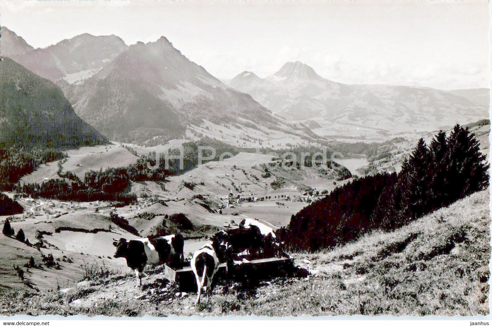 Charmey Et Vallee De La Jogne - Animals - Cow - 741 - 1946 - Old Postcard - Switzerland - Used - Charmey