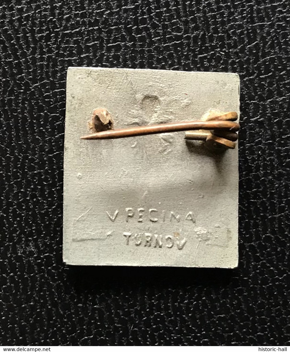 Insigne Tcheque - Vpecina Turnov - Professionals / Firms