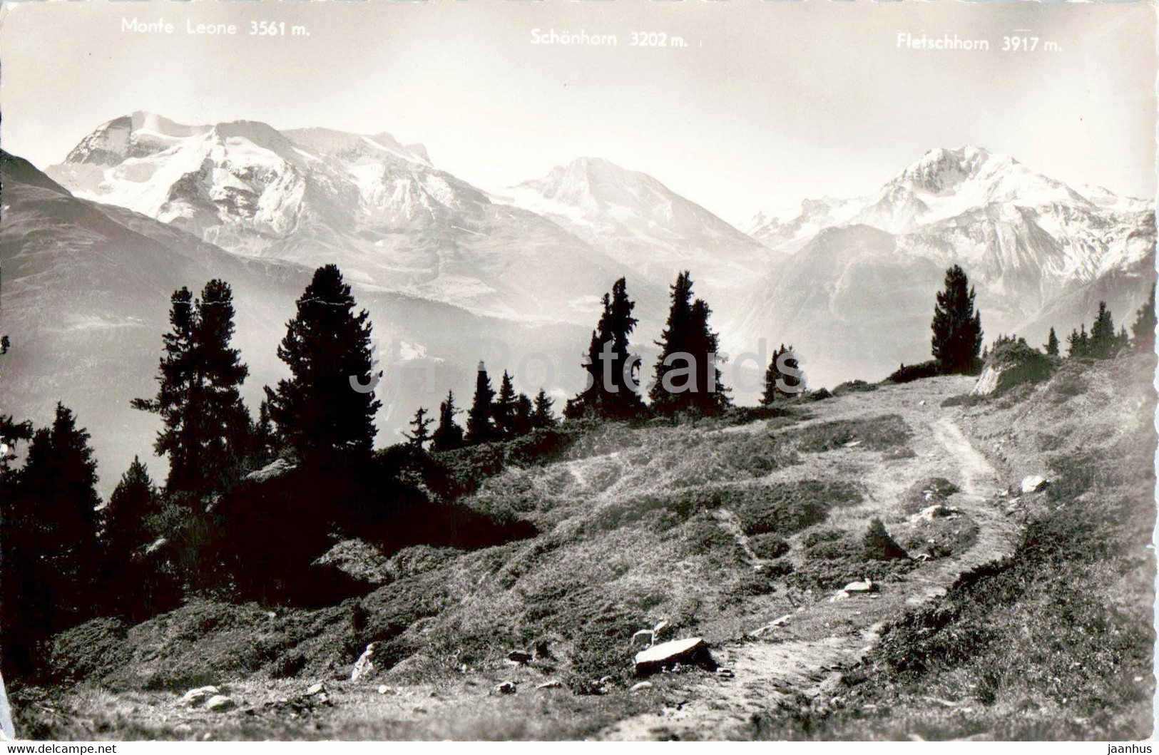 Riederalp - Blick Auf Walliseralpen - 5364 - 1962 - Switzerland - Used - Riederalp