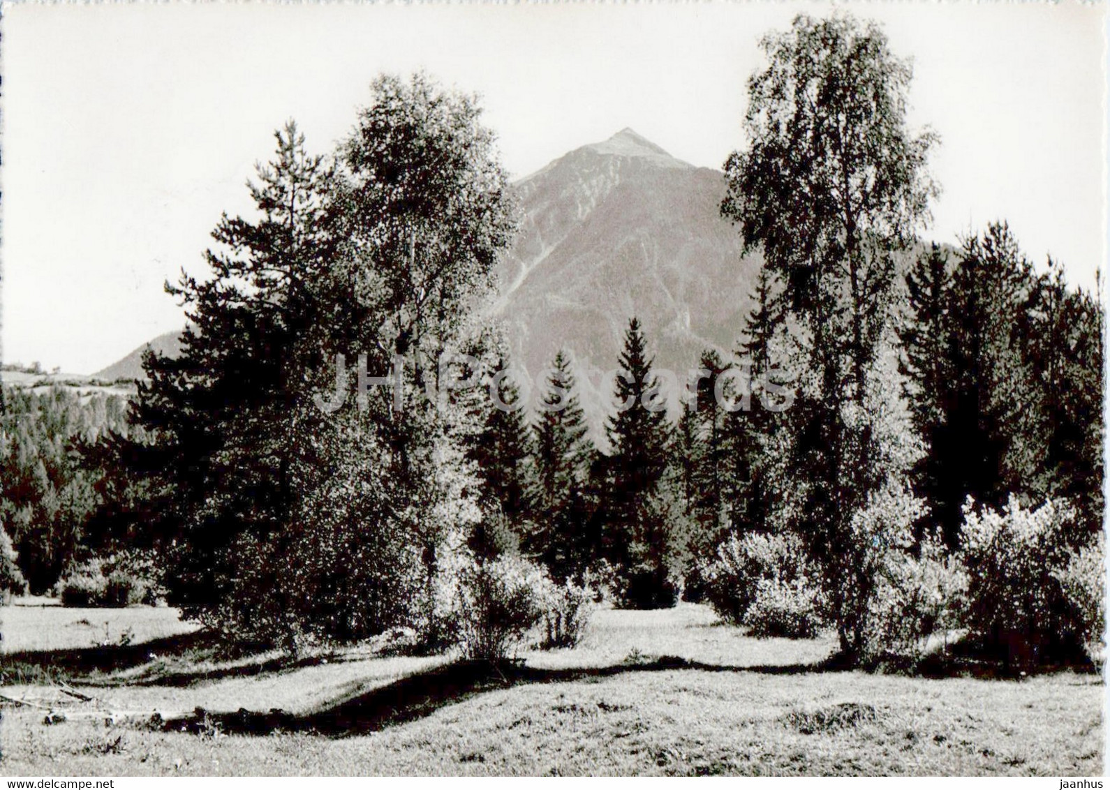 Alvaneu Bad - Blick Auf Die Muchetta - 1947 - Old Postcard - Switzerland - Used - Alvaneu