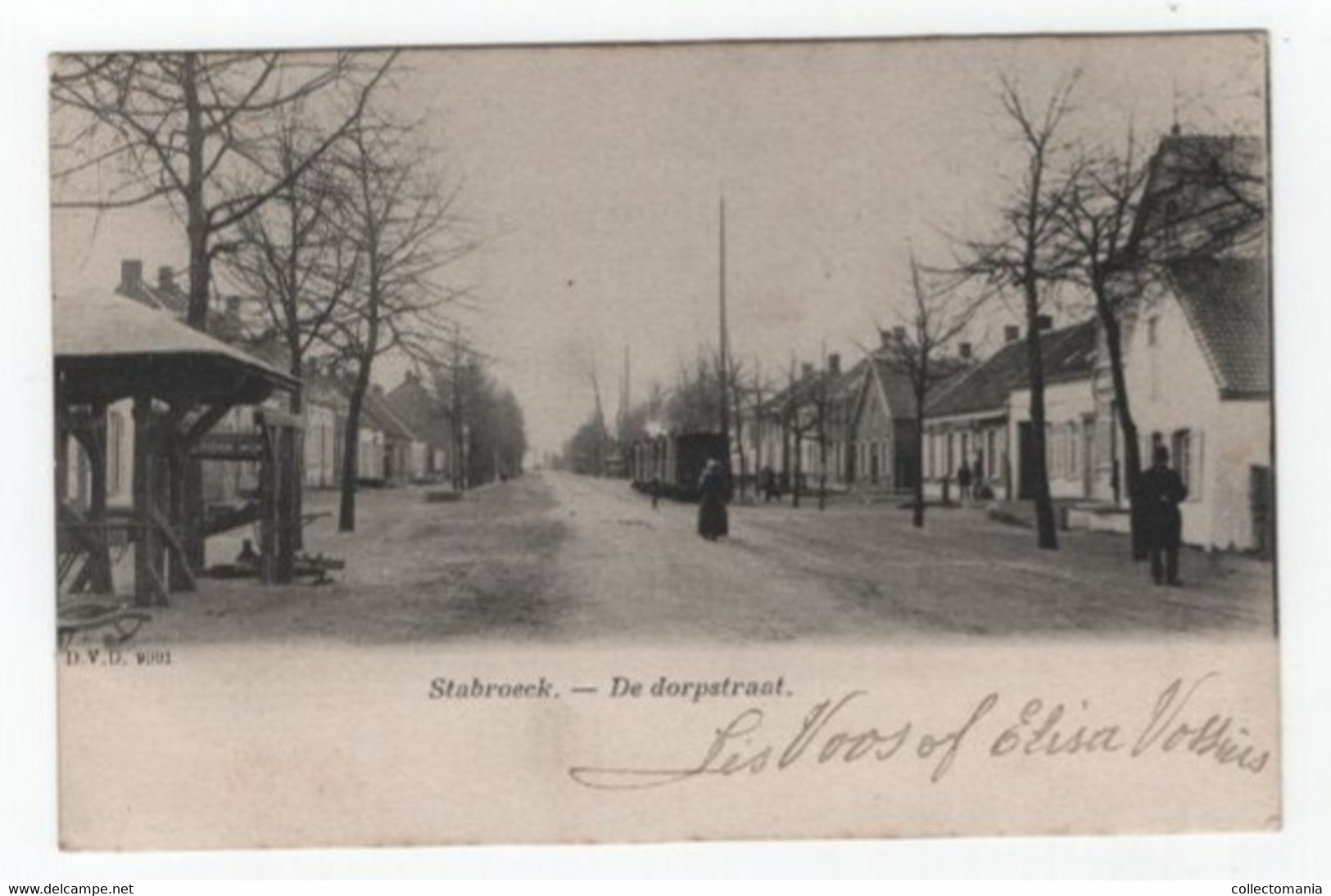 1 Oude Postkaart STABROECK Stabroek  Dorpstraat Met STOOMTRAM    Uitgever D.V.D. - Stabroek