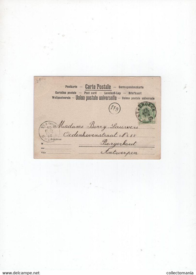 1 Oude Postkaart STABROECK   Gemeentehuis  1905  Uitgever D.V.D. - Stabrök