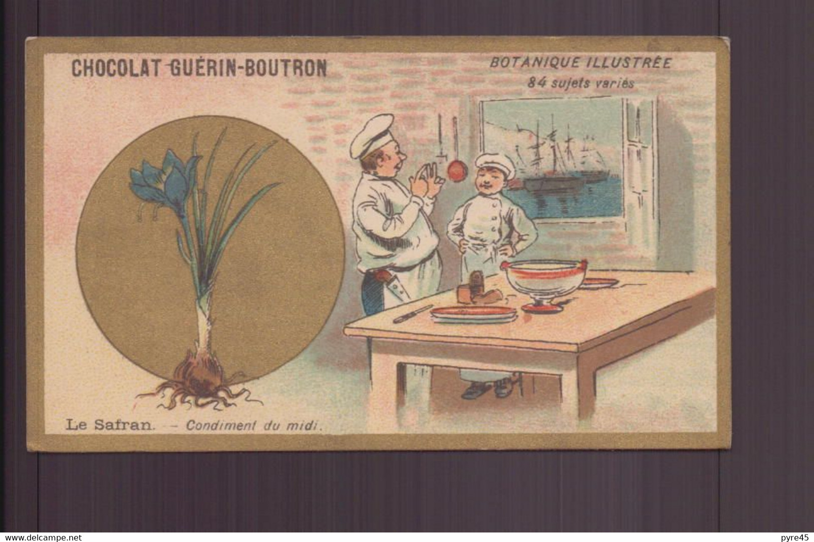 Chromo " Chocolat Guérin-Boutron " Botanique Illustrée " Le Safran, Condiment Du Midi - Guerin Boutron