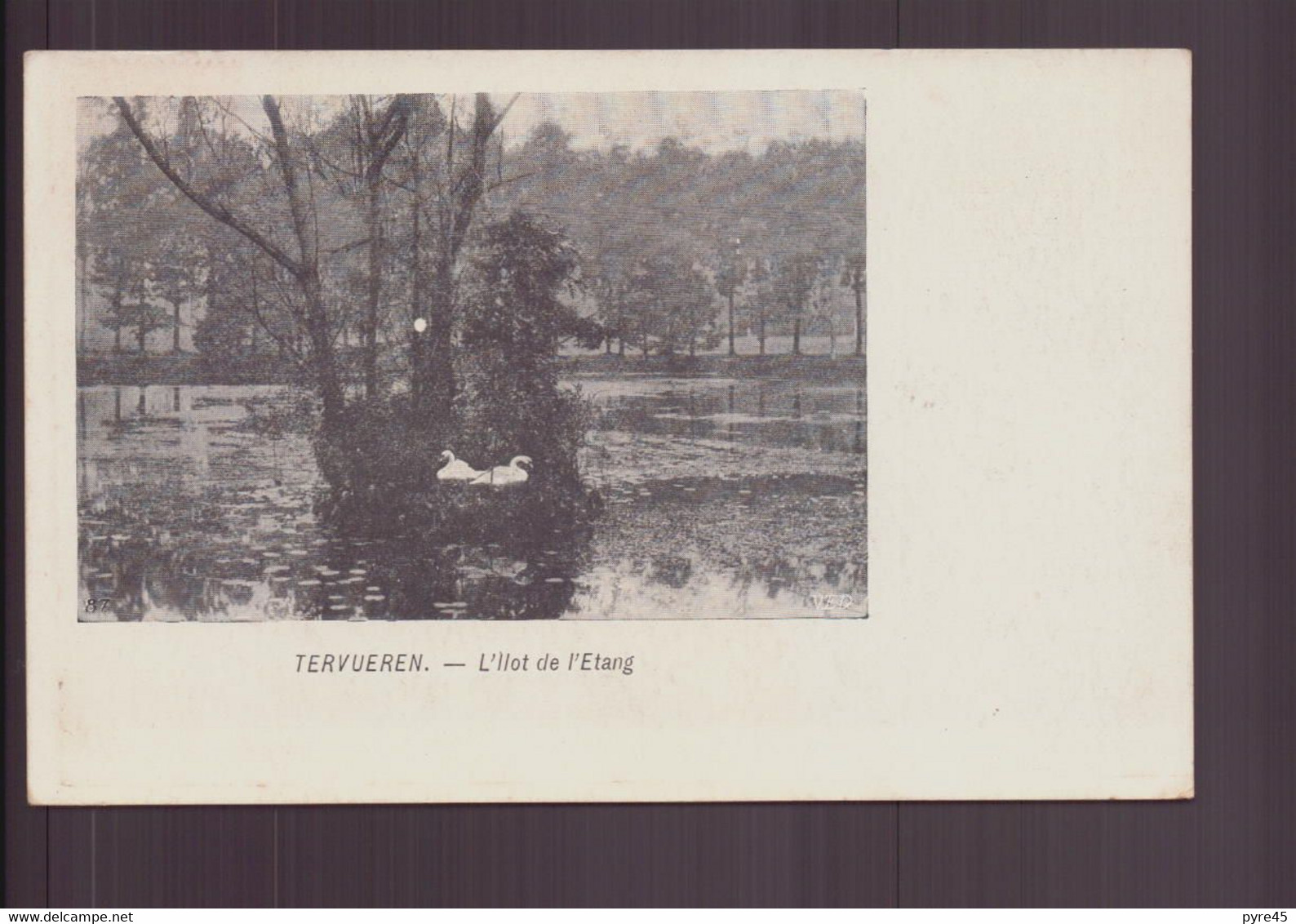 BELGIQUE TERVUEREN L ILOT DE L ETANG - Tervuren