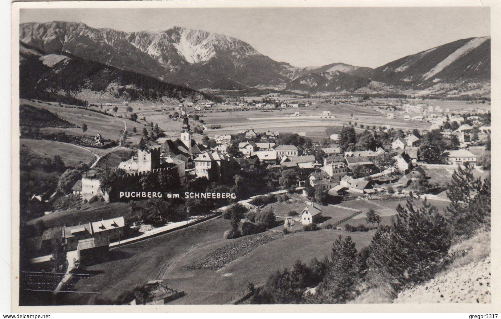 C33) PUCHBERG Am SCHNEEBERG - Super Details Im Vordergrund ALT! - Schneeberggebiet