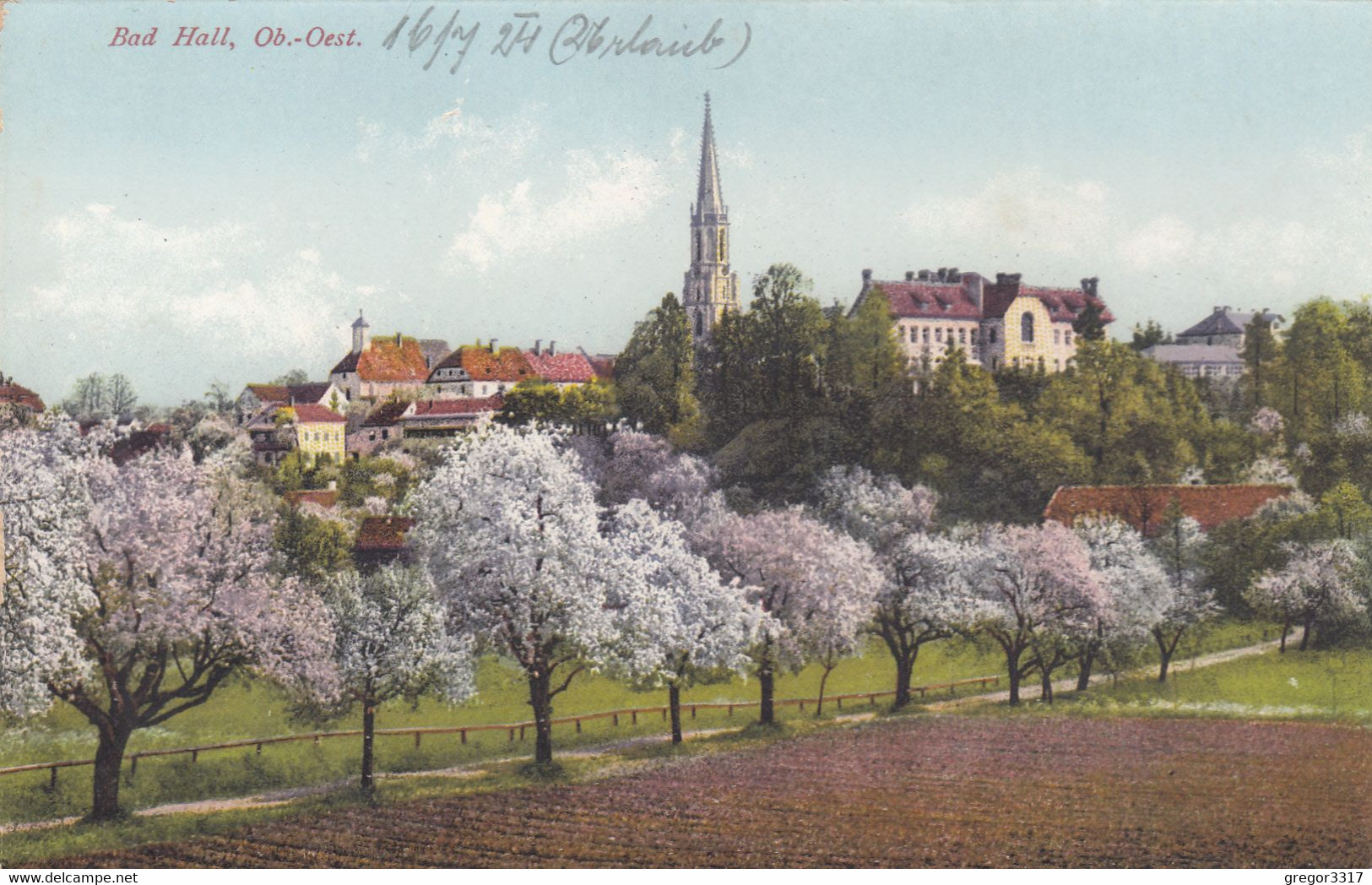 C60) BAD HALL - OÖ - Allee Mit Blühenden Bäumen - Richtung Kirche U. Häuser ALT ! 1924 - Bad Hall