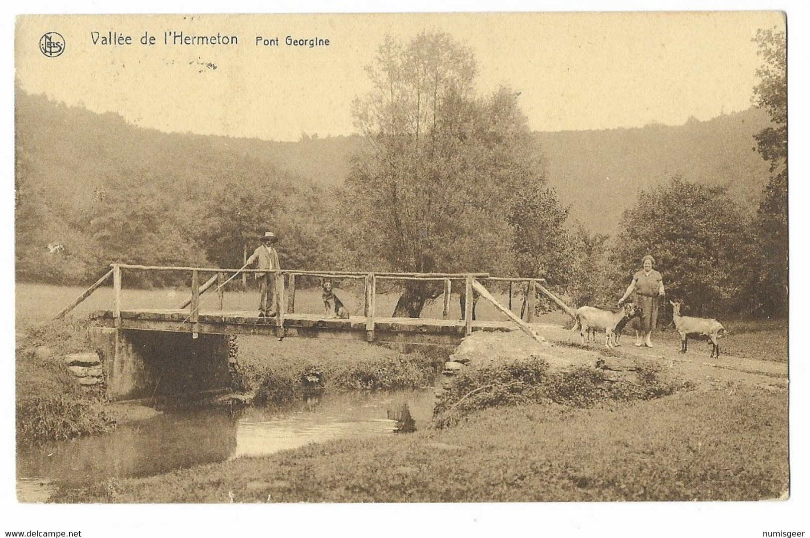 Vallée De L'Hermeton  -  Pont Georgine - Hastière