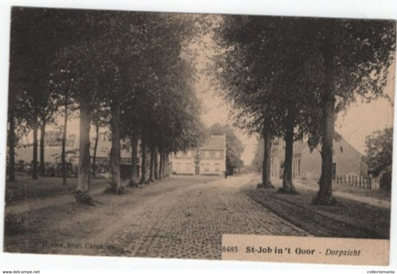 1 Oude Postkaart St.Job In 't Goor  Zicht In Het Dorp  Uitgever Hoelen - Brecht