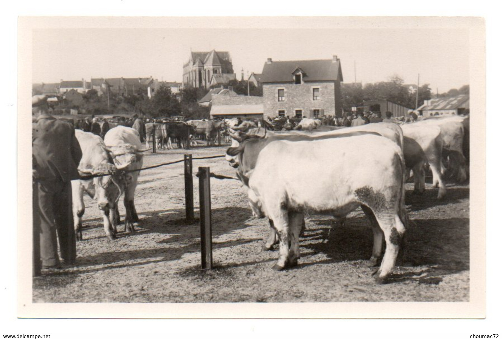 (44) 891, Herbignac, Nozais 10, Le Champ De Foire - Herbignac