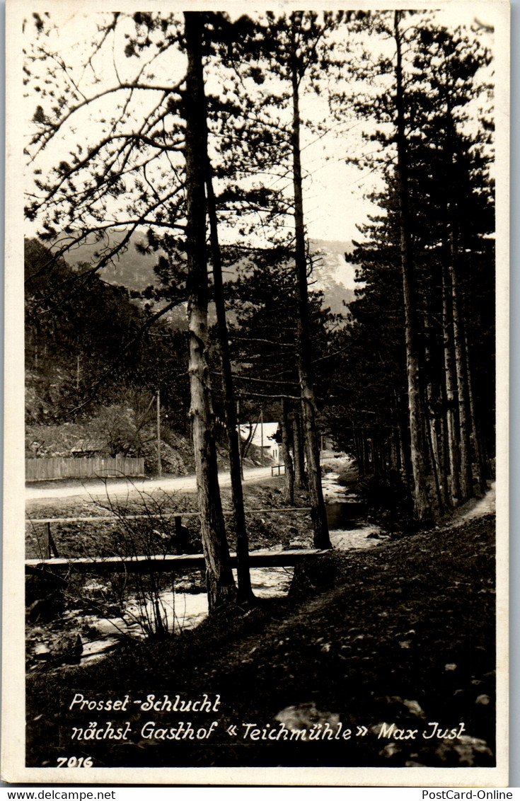 40042 - Niederösterreich - Prosset Schlucht Nächst Gasthof Teichmühle - Gelaufen - Wiener Neustadt