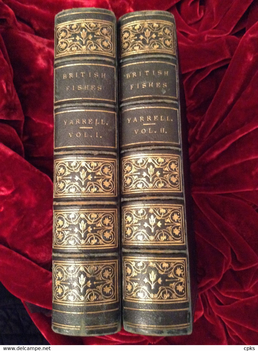 A HISTORY OF BRITISH FISHES - William YARRELL - In Two Volumes. 1859 - Fauna