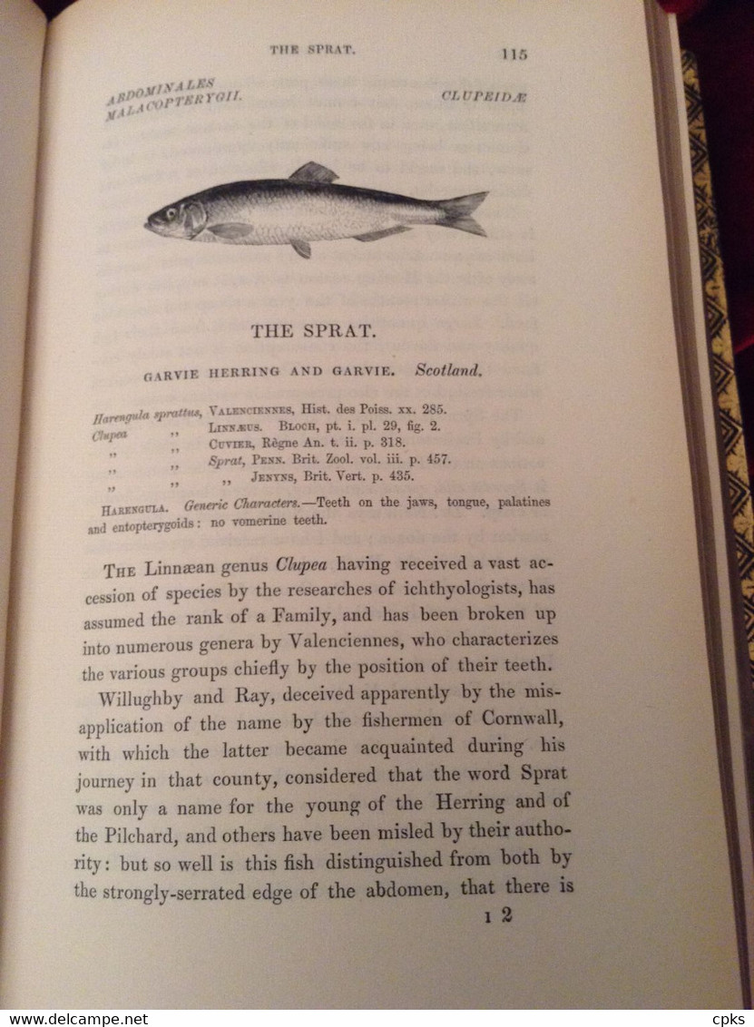 A HISTORY OF BRITISH FISHES - William YARRELL - In Two Volumes. 1859 - Fauna