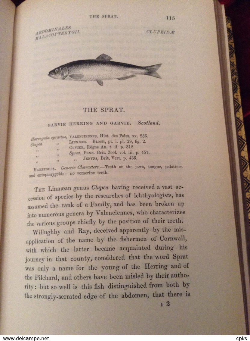 A HISTORY OF BRITISH FISHES - William YARRELL - In Two Volumes. 1859 - Vie Sauvage