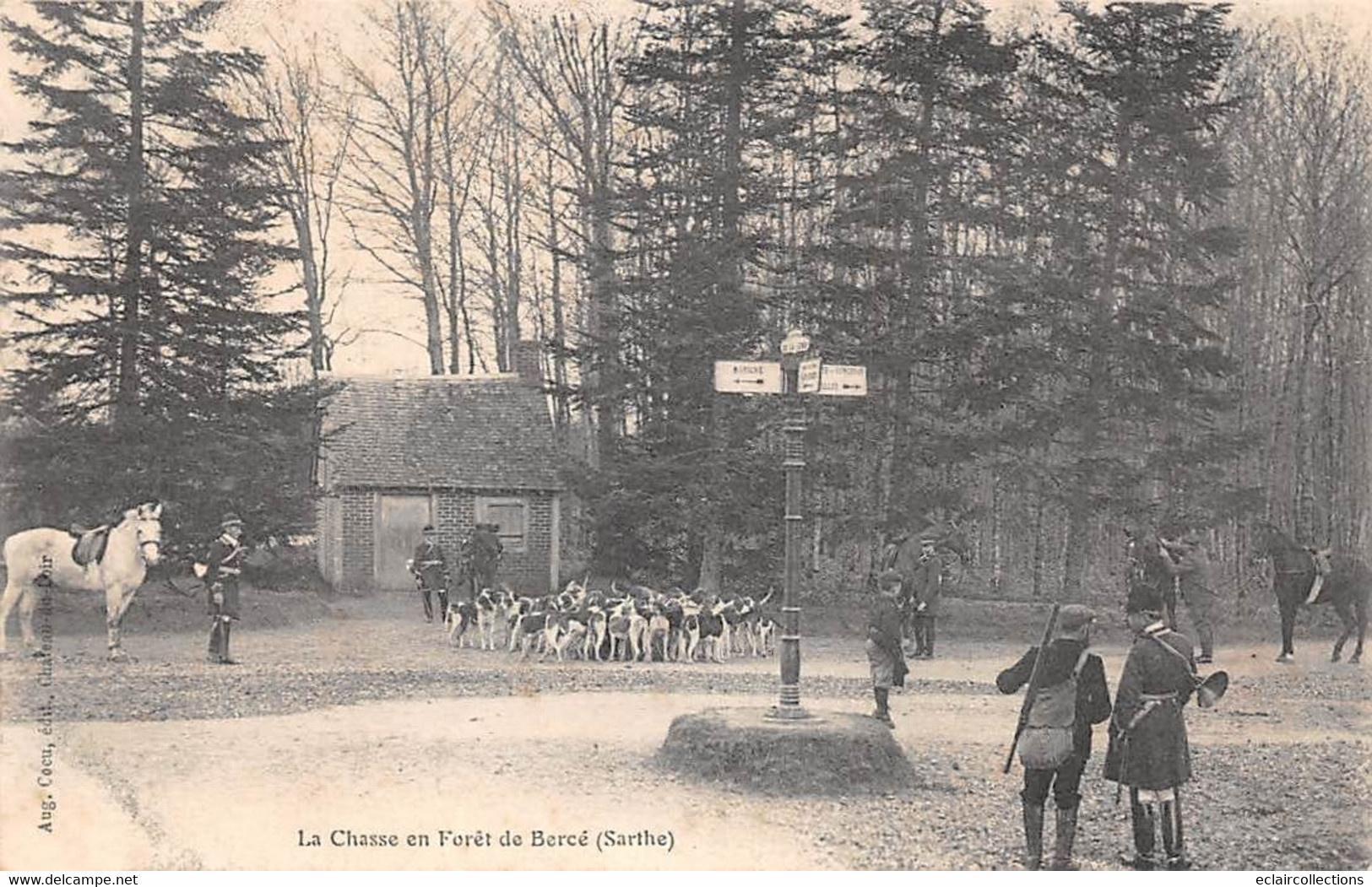 Bercé         72        La Forêt   Chasse à Courre.   Un Carrefour    (voir Scan) - Autres & Non Classés