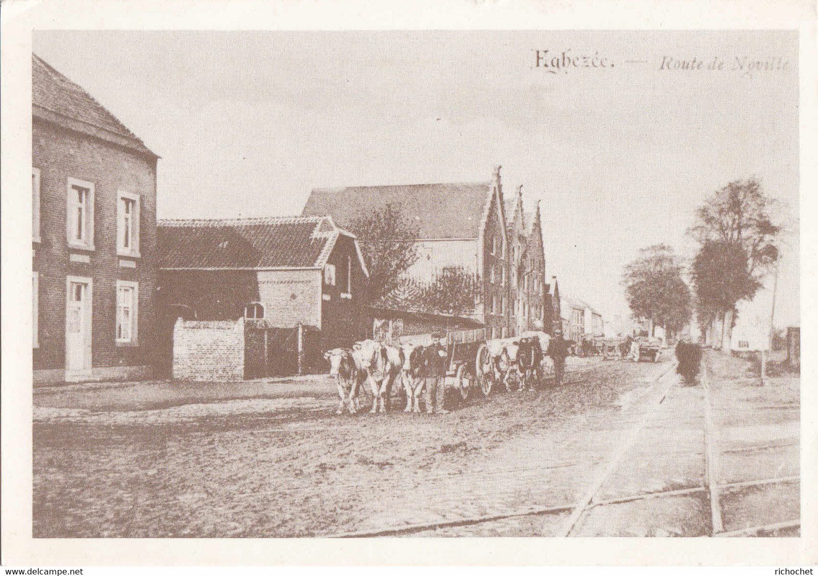 Eghezée - Route De Noville ( Inauguration Des Nouveaux Locaux Du Crédit Communal ) - Eghezée