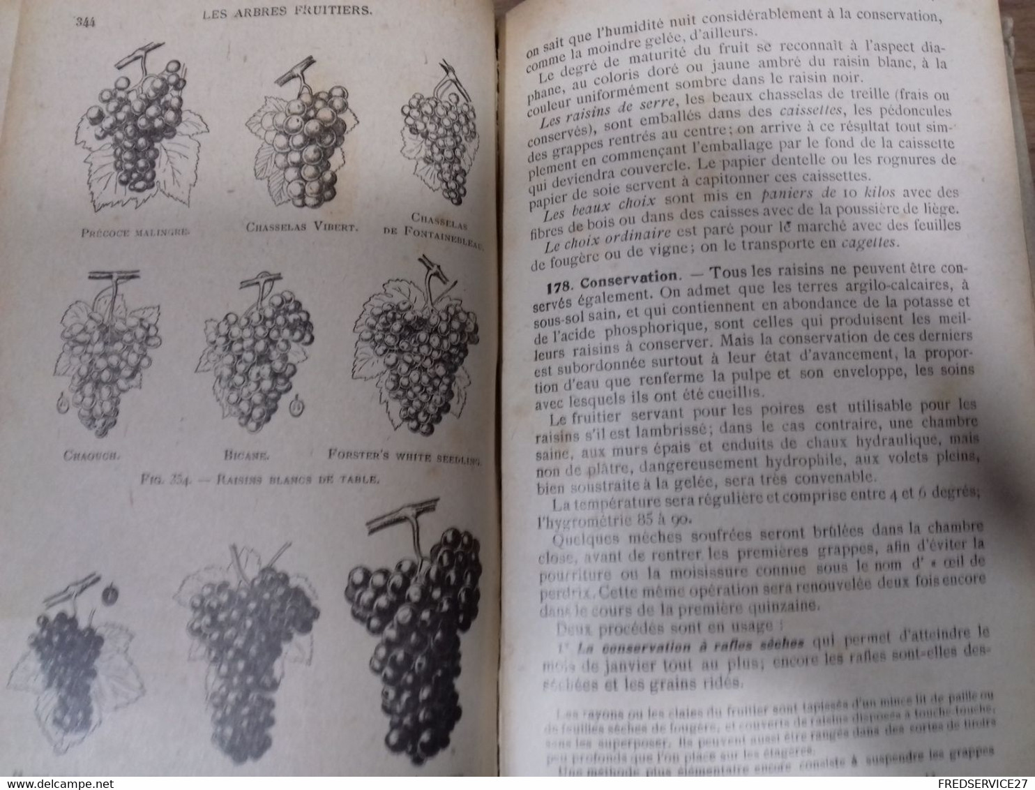 43  //   ENCYCLOPEDIE DES CONNAISSANCES AGRICOLES  ARBORICULTURE FRUITIERE    HACHETTE - Enzyklopädien