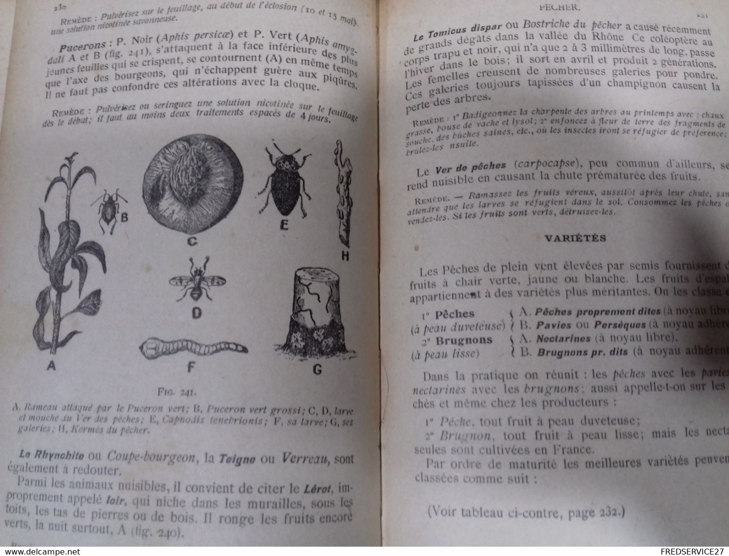 43  //   ENCYCLOPEDIE DES CONNAISSANCES AGRICOLES  ARBORICULTURE FRUITIERE    HACHETTE