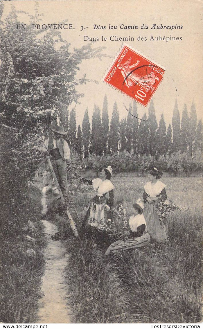 CPA Folklore - Bouche Du Rhône - En Provence - Dins Lou Camin Dis Aubrespins - Oblitérée 1908 - Costumes - Cueillettes - Costumes