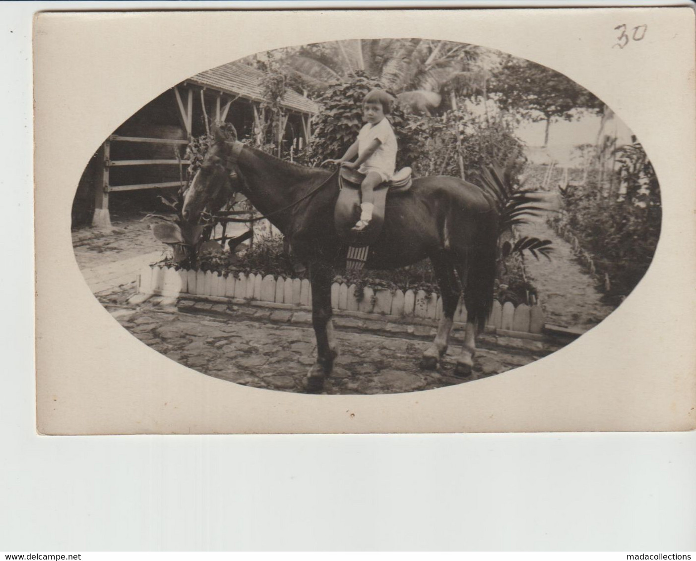 La Trinité (Martinique) Carte Photo - Promenade à Cheval - La Trinite