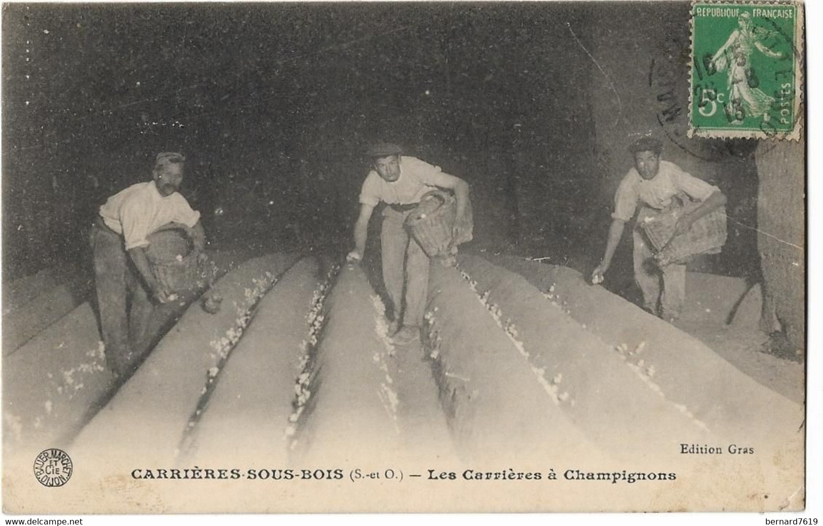 78  Carrieres Sous Bois  -  Les Carrieres A Champignons - Carrières-sur-Seine