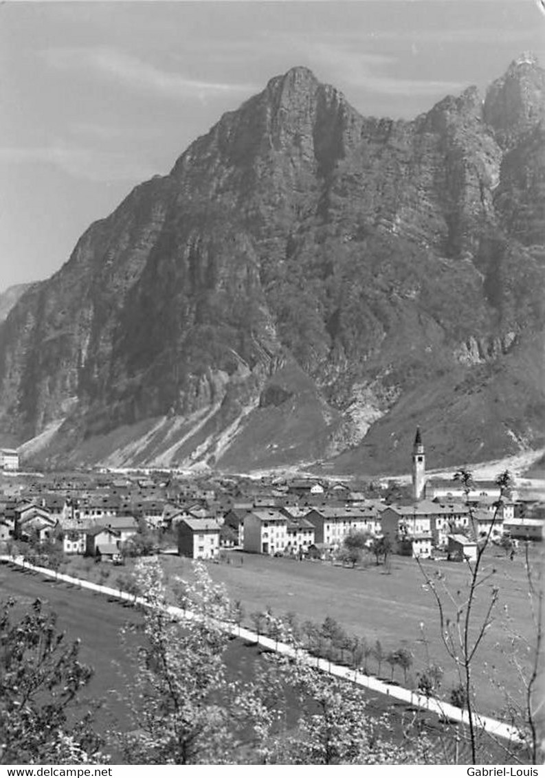 Cimolais Monte Vacalizza (10 X 15 Cm) - Pordenone