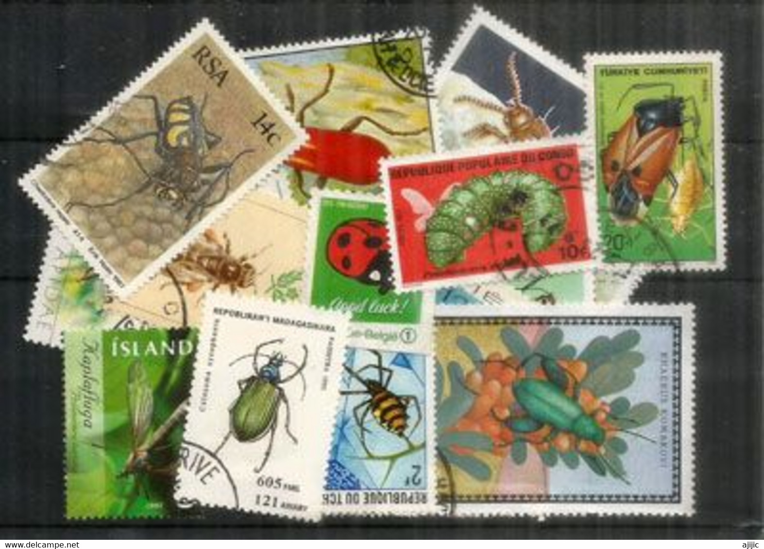 INSECTES,  Tous Differents, (25) Grands Formats.Bonne Qualité  Lot # 4 - Vrac (max 999 Timbres)