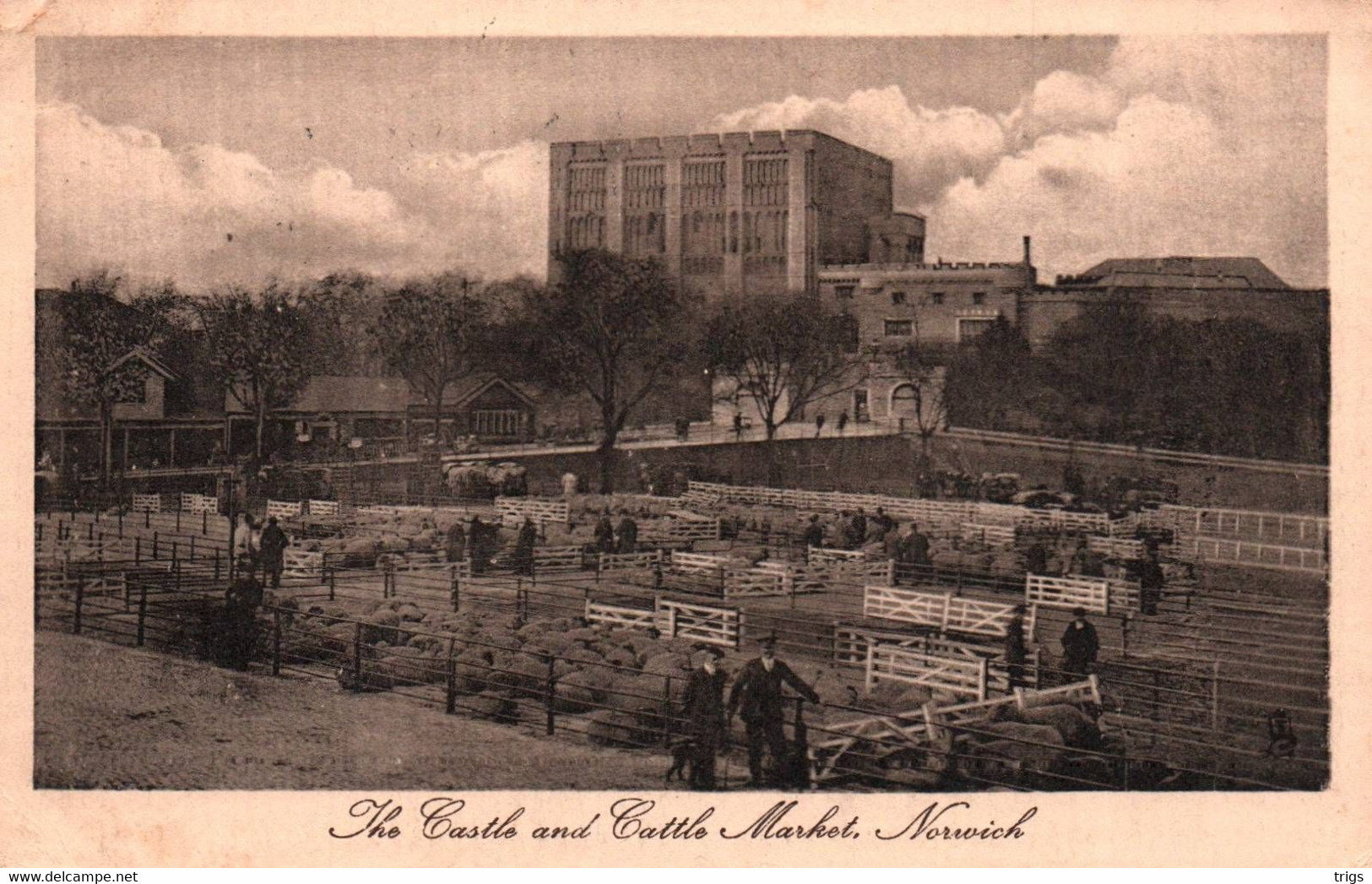 Norwich - The Castle And Cattle Market - Norwich