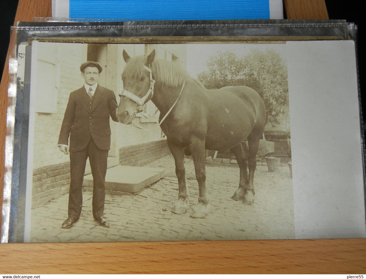 TRES BELLE PHOTO D'UN HOMME AVEC SON CHEVAL- PROVIENT D'UNE FAMILLE DE GRAND-HALLET- BE - RARE !!! - Hannut