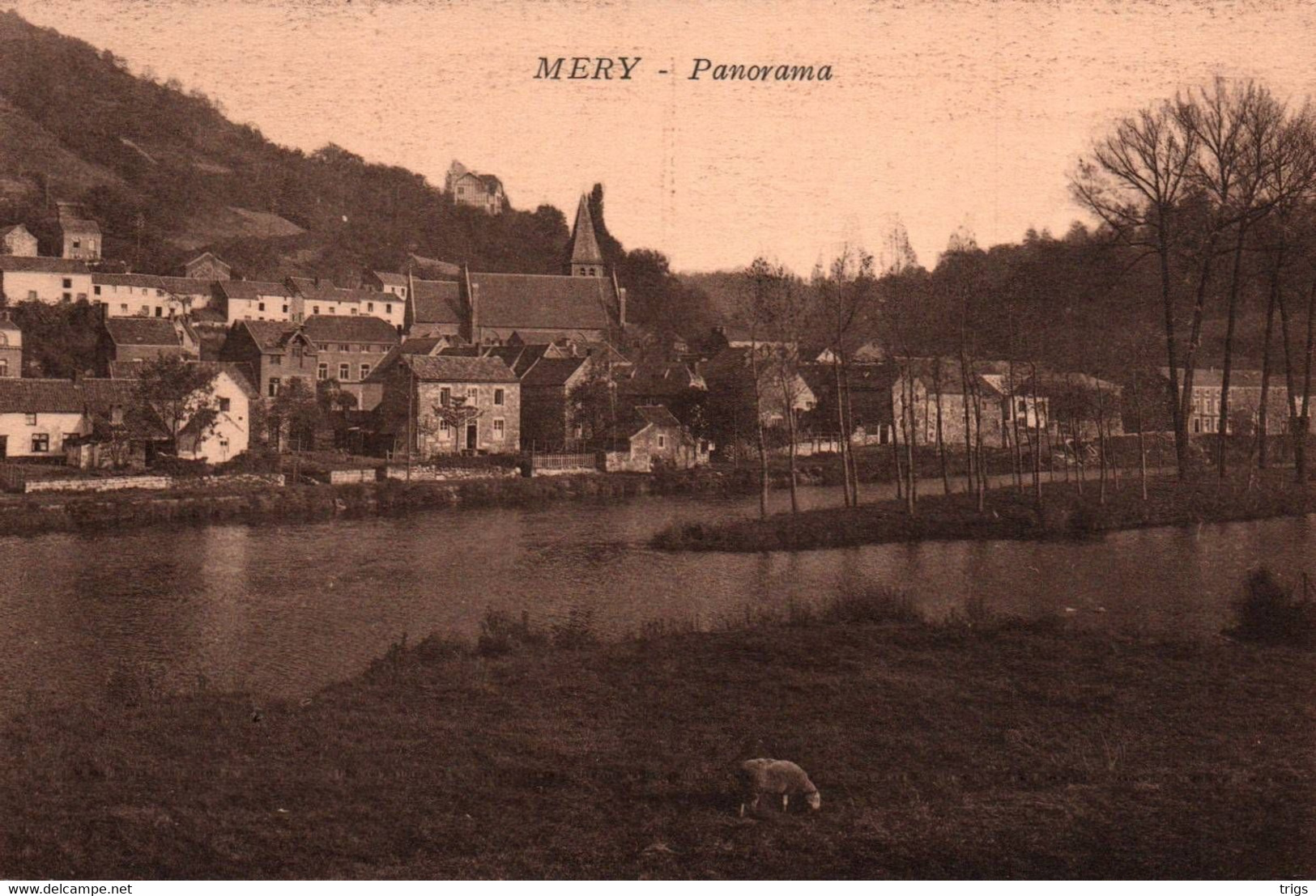 Méry - Panorama - Esneux