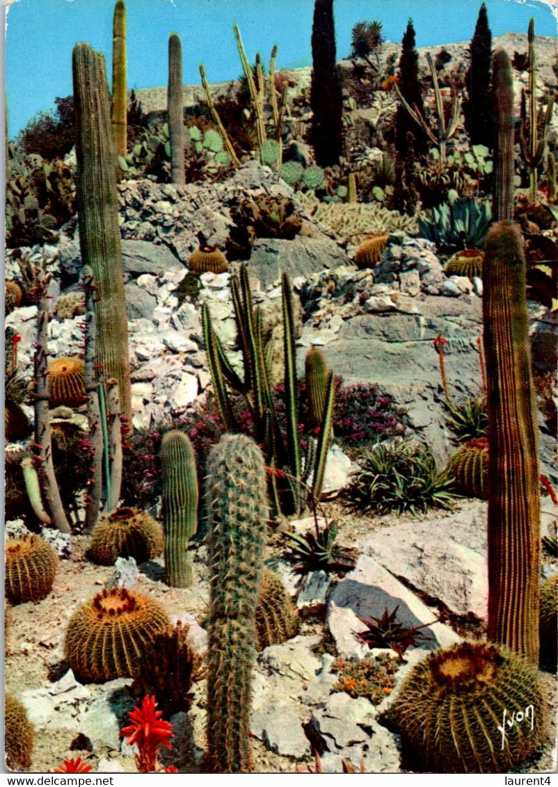 (2 M 28) (M+S) France - Jardin Exotique De Ezé (plante Grasse Et Cactus) - Cactusses
